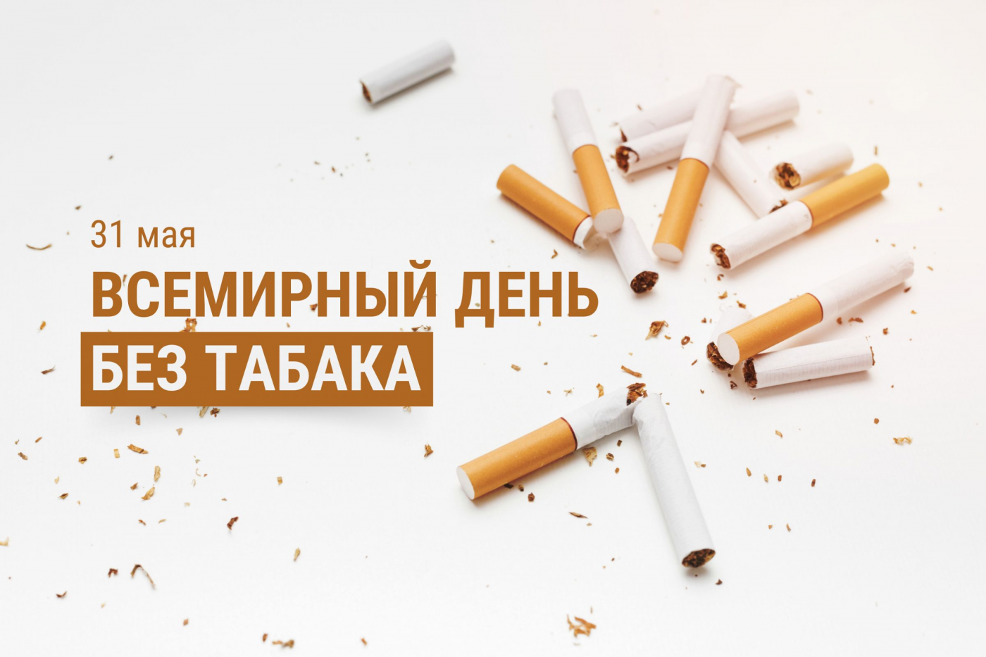 Профилактика с БНТУ: Всемирный день без табака